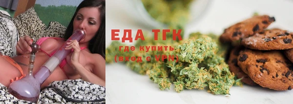 индика Осинники