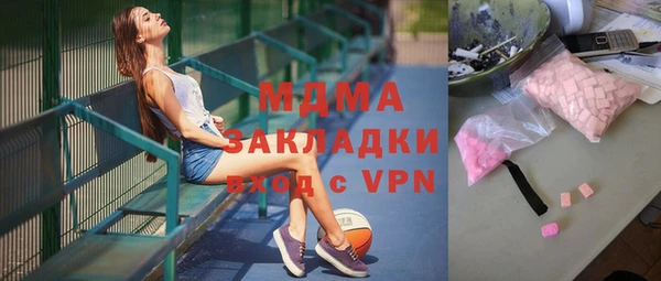 индика Осинники