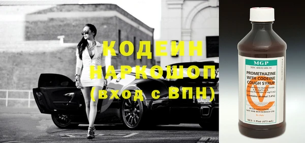 индика Осинники