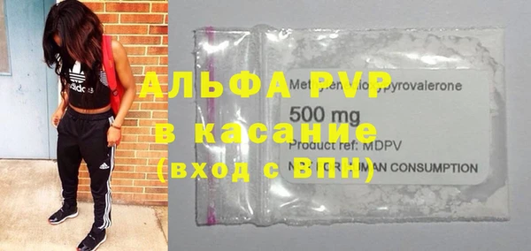 индика Осинники