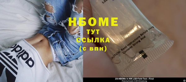 индика Осинники