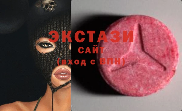 индика Осинники