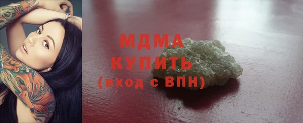 индика Осинники