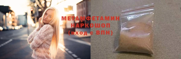 прущие грибы Тында