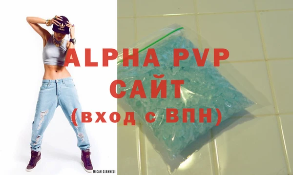 индика Осинники