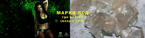 индика Осинники
