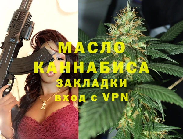 индика Осинники