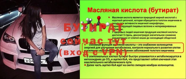 индика Осинники