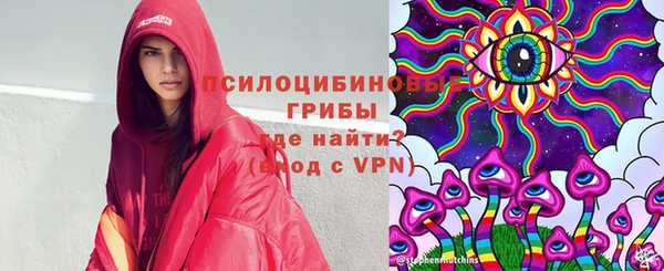 индика Осинники
