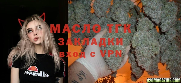 индика Осинники