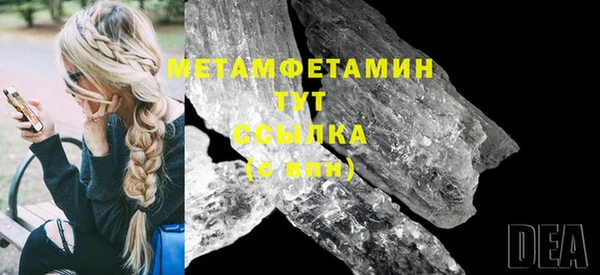 индика Осинники