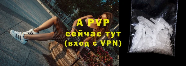 спиды Осташков