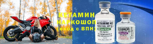 индика Осинники