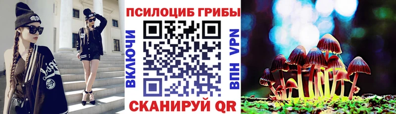 Псилоцибиновые грибы Psilocybine cubensis  Алушта 