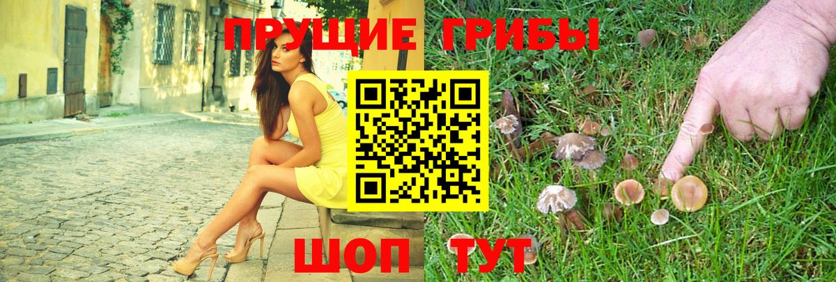 Галлюциногенные грибы Cubensis  Алушта  Псилоцибиновые грибы мухоморы 